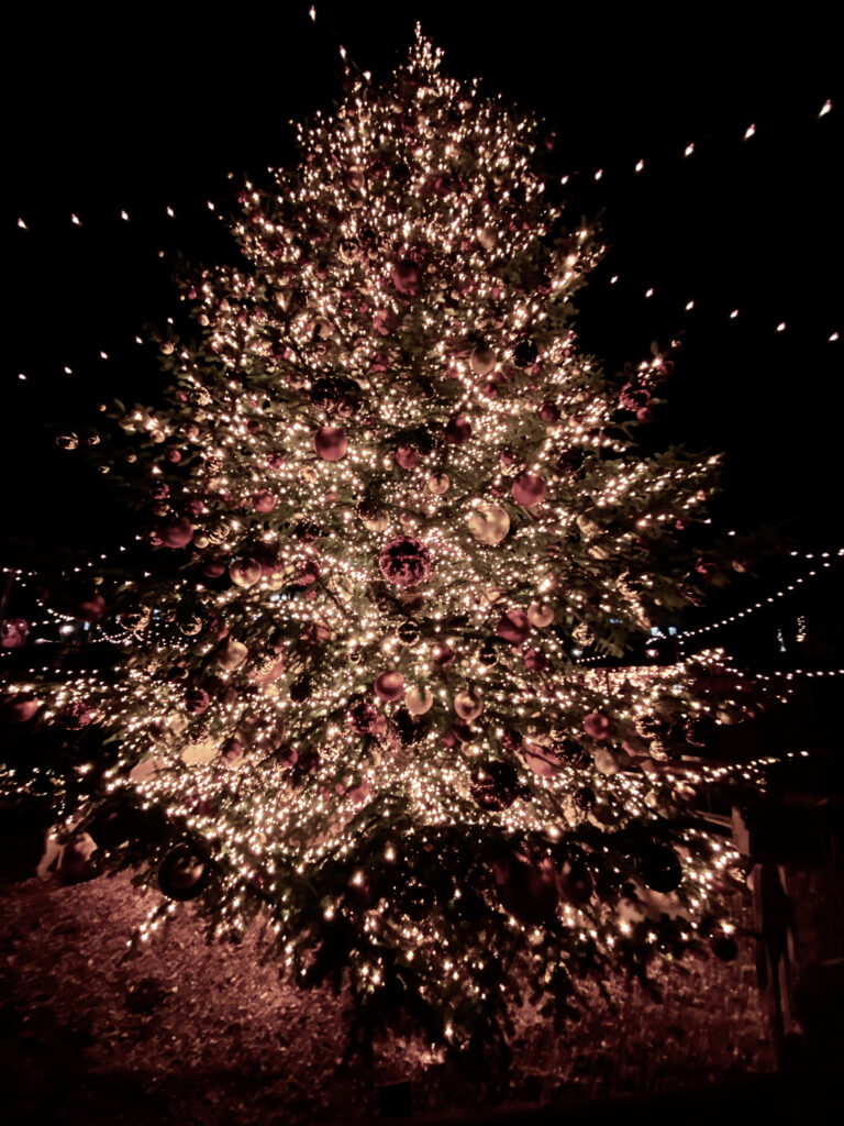 The Christmas Village In Front Of The Opera House / Zürcher «wienachtsdorf» Am Bellevue