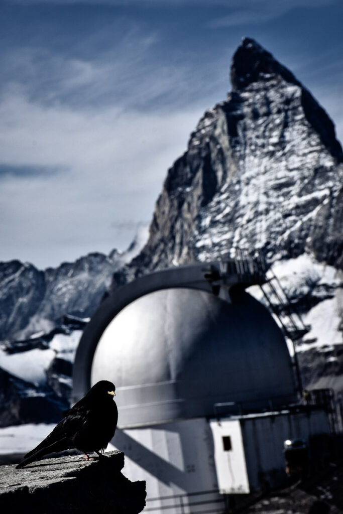 The observatory, the Alpine Chough and Matternhorn