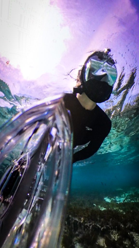 Snorkelling around Denis Private Island, Belle Etoile