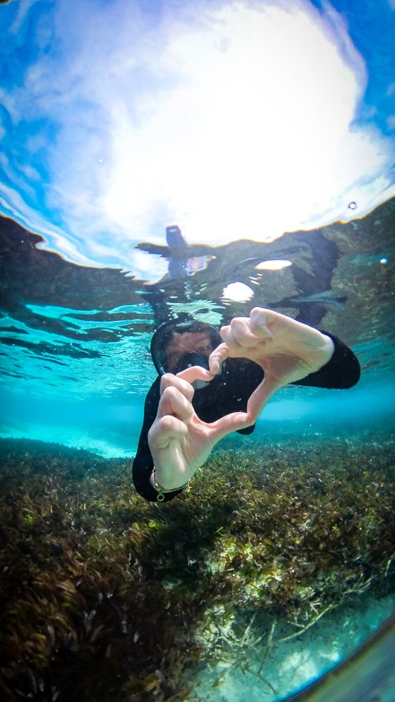 Snorkelling around Denis Private Island, Belle Etoile