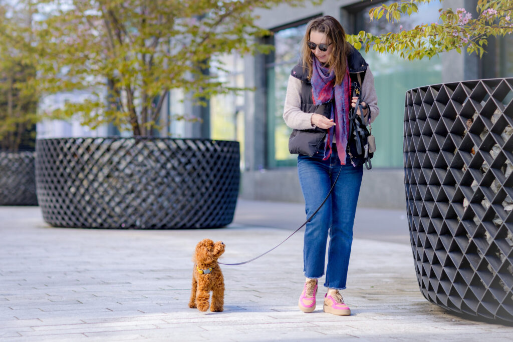 Yuliia walking with toy poodle puppy