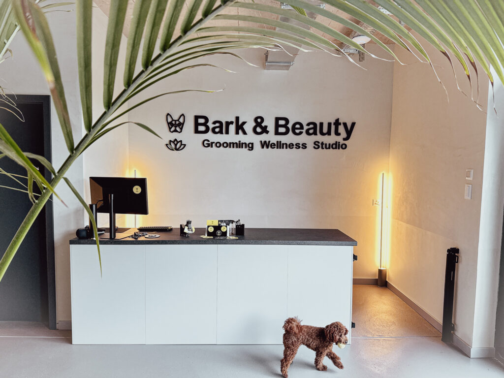 Elegant reception area of Bark & Beauty Grooming Wellness Studio in Zurich, Adliswil, Switzerland, featuring warm lighting, natural materials, and a calm, pet-friendly atmosphere.