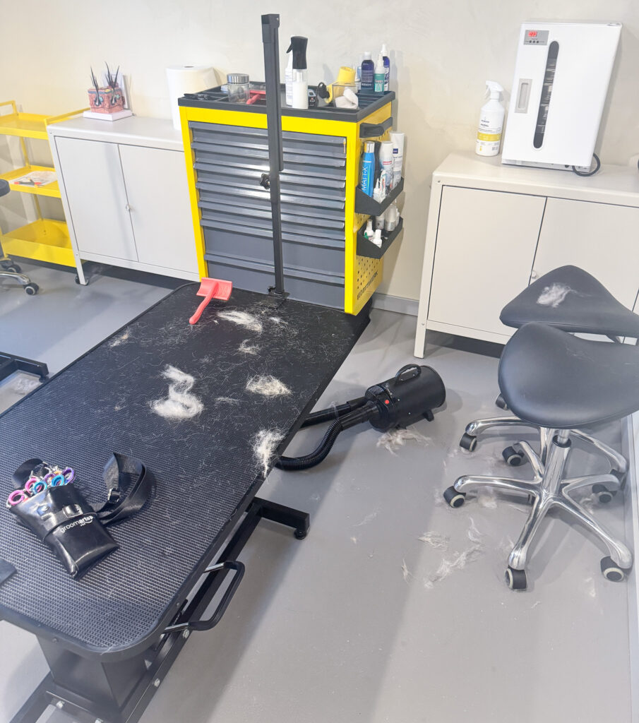 Grooming table and tools with brushed out fur after a grooming session.