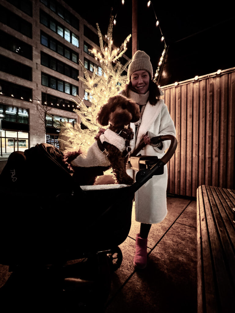 A woman with her small dog standing next to a Christmas tree decorated with lights at Zurich’s Weihnachtsallee Market.