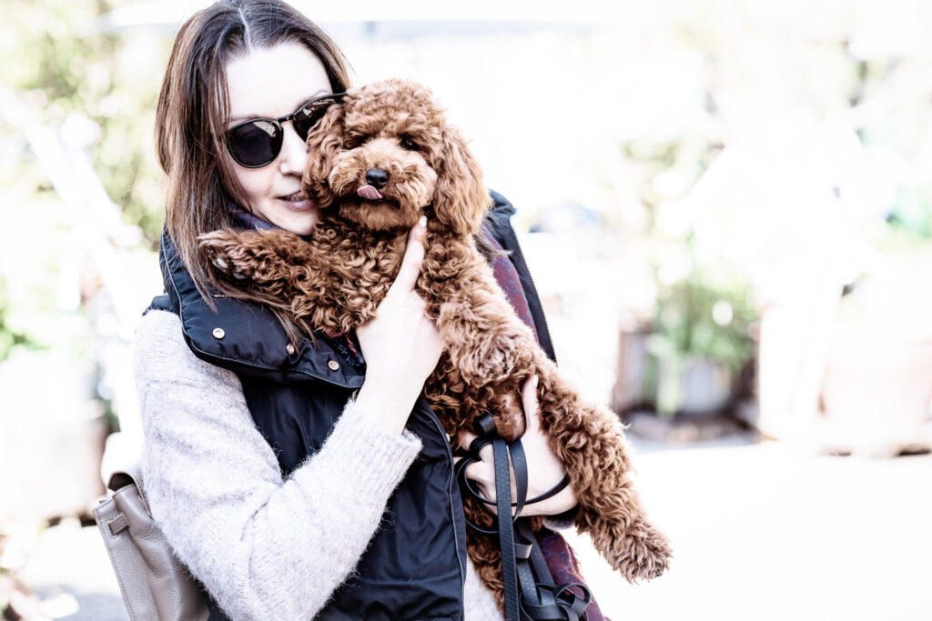 Brown curly coated puppy being held close by its owner in bright sunlight
