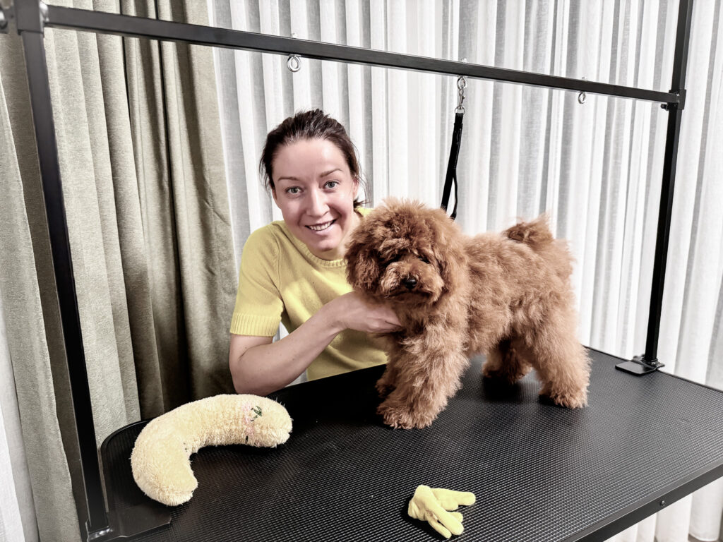 Brown fluffy coated puppy on a grooming table with the groomer smiling beside it